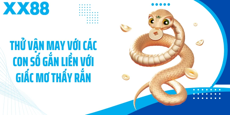 Giấc Mơ Thấy Rắn và Con Số May Mắn